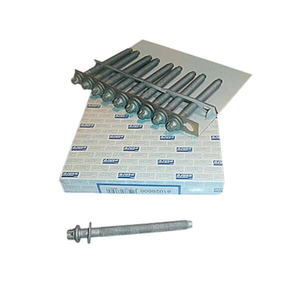 BULONES TAPA CIL.KIT 10 DW8 AJUSA