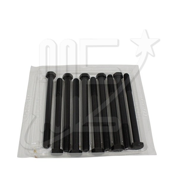 JUEGO BULONES X10 T/CILINDRO          404/504/505