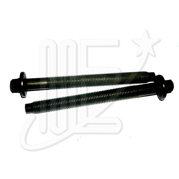 BULON TAPA CILINDROS ORIG.DW10TD 206/306/307