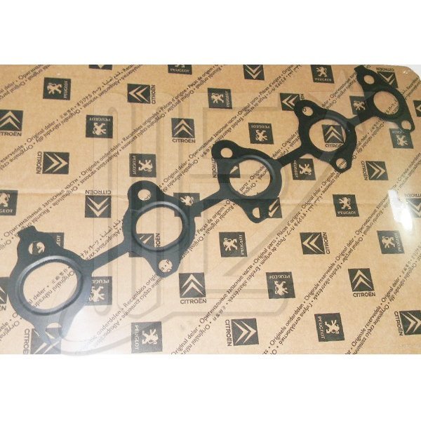 JUNTA MULTIPLE ESCAPE  DV4/DV6      C3/C4/BERLINGO
