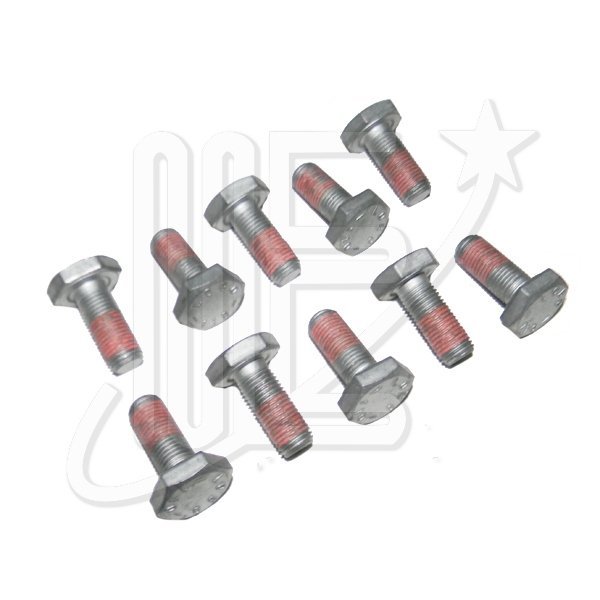 BULON VOLANTE MOTOR 9X100 ORIG ZX-XAN-XSA-C4-BER