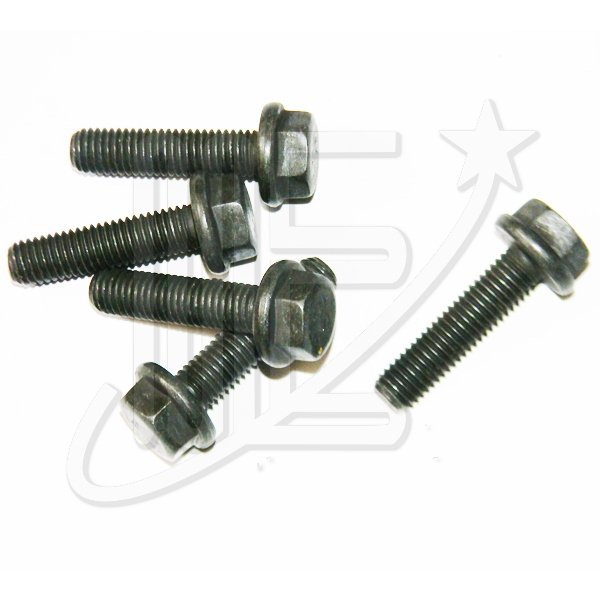 0806500O.jpg TORNILLO ENGRANAJE DISTRIBUCION ORIG.DW10 307