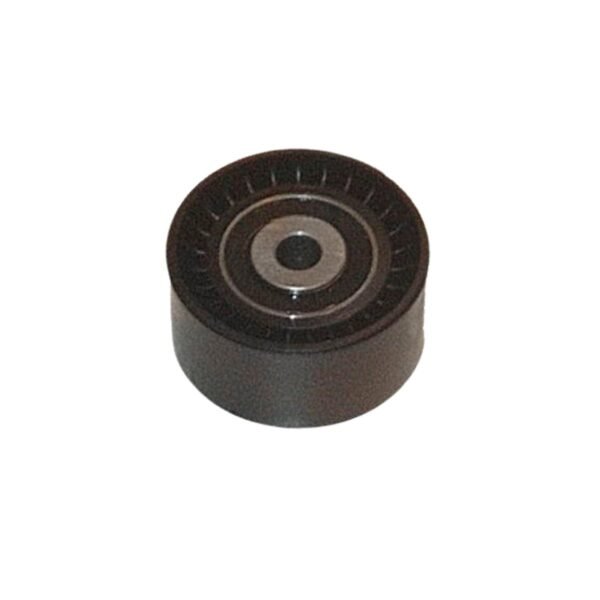RODILLO TENSOR PISTA PLAST.DV4 TD