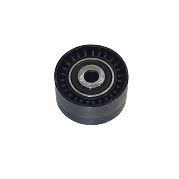 RODILLO TENSOR PISTA PLAST.DV4 TD/DV6