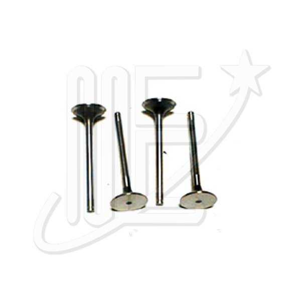 VALVULA ADMISION (MOTOR XUD9)   ZX-XAN-XSA-BERL