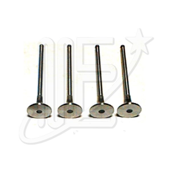VALVULA ESCAPE (MOTOR TU5JP4)     XSA-C3-BERL