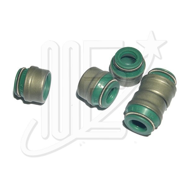 095638O.jpg RETEN DE VALVULAS ORIGINAL ZX-XAN-XSA-C5