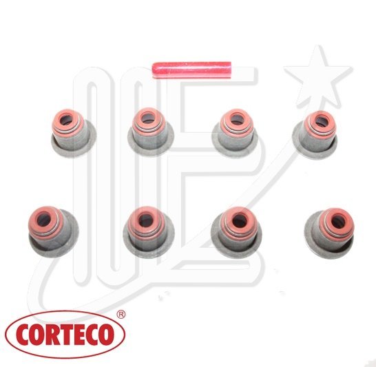 KIT RETEN VALV (X8) 206/207/307/PART *19036091