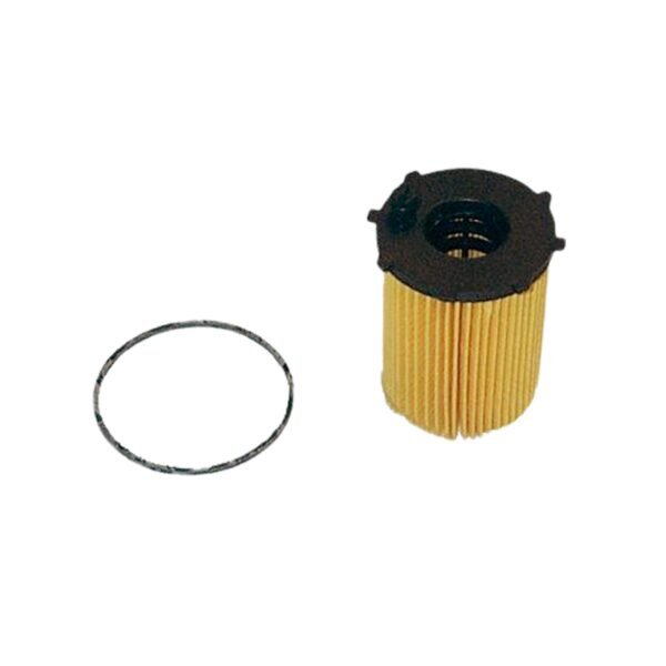 1109-T30-N.jpg FILTRO ACEITE HDI MOT.DV4TD