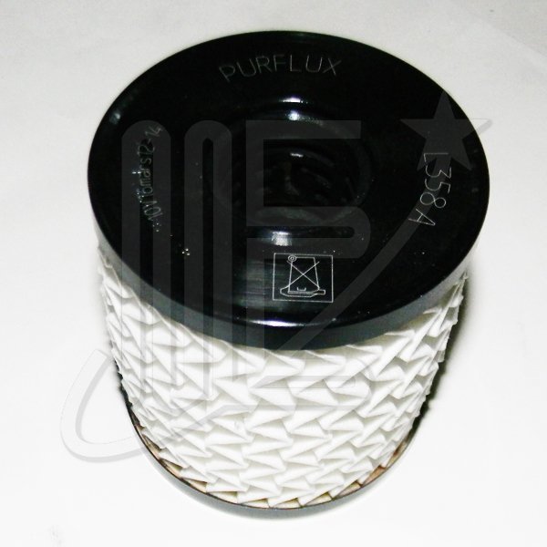 1109AH0O.jpg FILTRO ACEITE ORIGINAL -MOTOR EP6- 3008