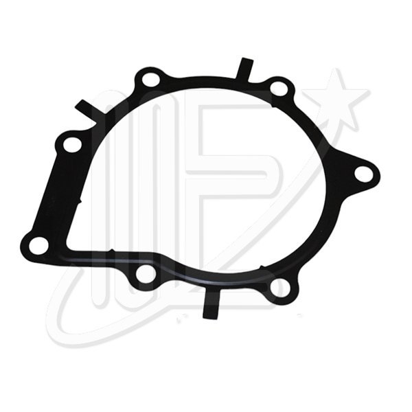 1206G2O.jpg JUNTA BOMBA AGUA ORIGINAL DW12 JUMPER III