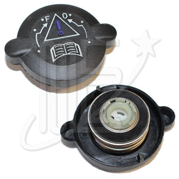 1306C70I.jpg TAPA RADIADOR IMPORTADA MOTOR XUD9 306/PARTNER