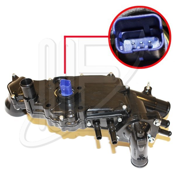 TAPA ALOJAMIENTO TERMOSTATO IMP. -DW10-    306