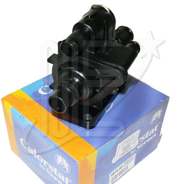 CAJA TERMOSTATO MLH TH6875.83J M/DV4TD P/207