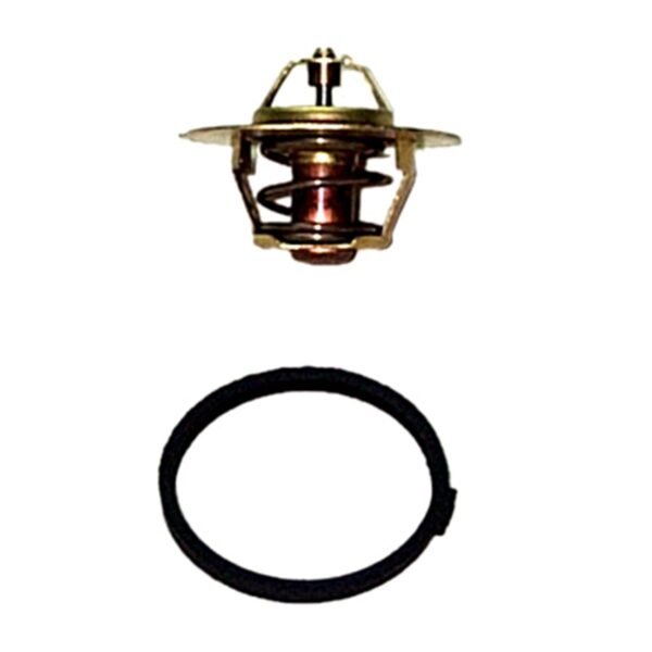 1337-490-N.jpg TERMOSTATO DIAMETAL 2000