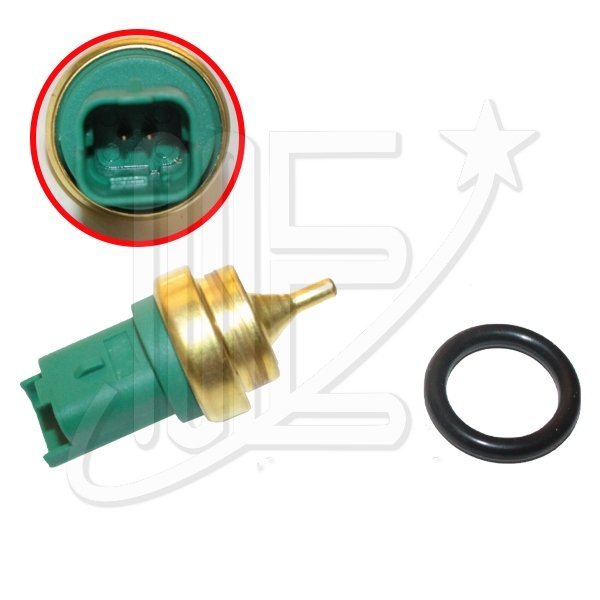 CAPTOR TEMPERATURA AGUA IMP.-EP3-  C4-DS3-BERL