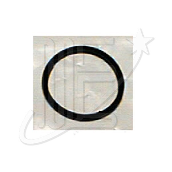 JUNTA TERMOSTATO RANURADA    ZX-XAN-XSA-C4-C5-BERL