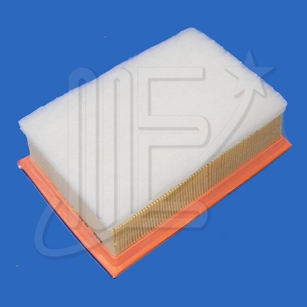 FILTRO AIRE ORIGINAL -DW10TD-                C4