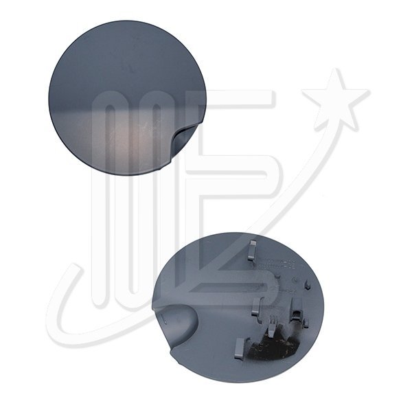 PUERTA TAPA COMBUSTIBLE ORIGINAL                C3