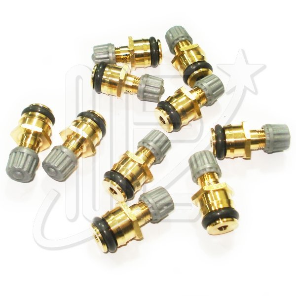 1579W8O.jpg TAPON VALVULA RAMPA INYECTOR ORIGINAL -EW10A- C4