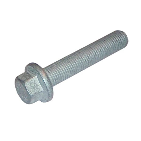 TORNILLO POLEA CIGUENAL