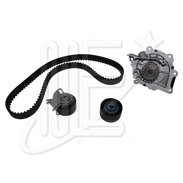 1610278280P.jpg KIT DISTRIBUCION C/BOMBA ORIGINAL DW10 3008-5008