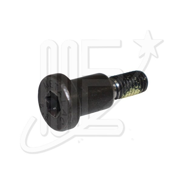 1681134480P.jpg TORNILLO PATIN DISTRIBUCION ORIG MOTOR 1.0 12V 208