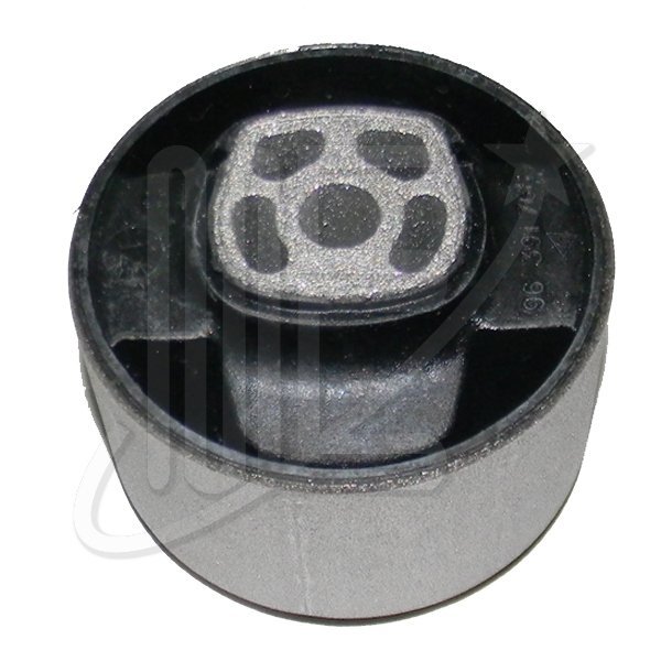 BUJE SOPORTE MOTOR ORIGINAL -EW10-DV6-          C4