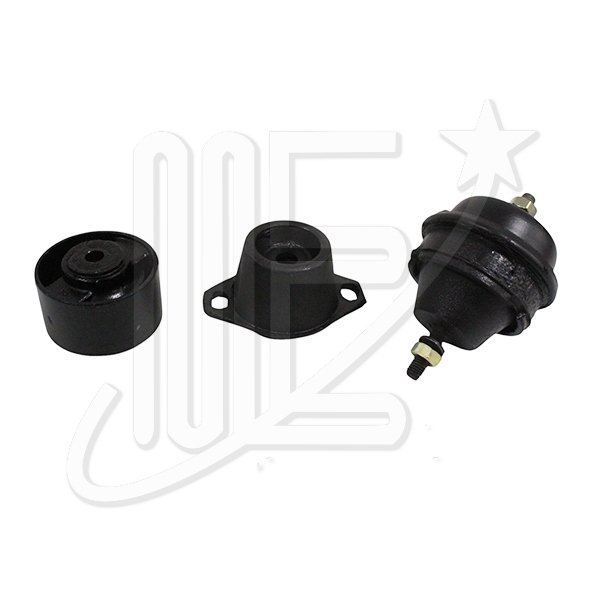1844400R.jpg KIT SOPORTES MOTOR Y CAJA 206/307/PARTNER