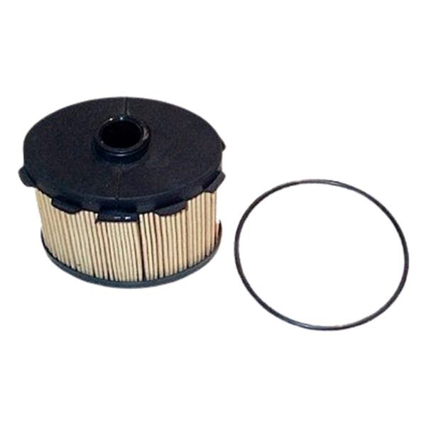 1906-480-N.jpg FILTRO G-OIL MOTOR DW8
