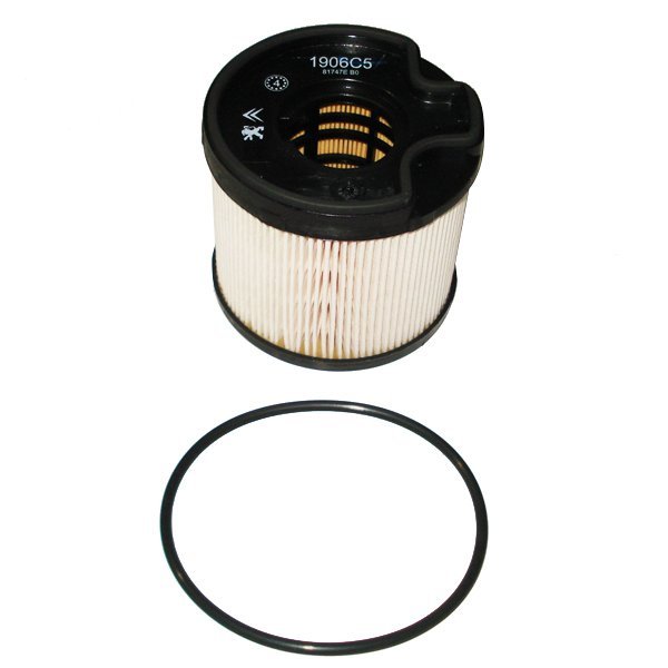 FILTRO COMBUSTIBLE ORIGINAL-DW10TD-    206-307-BER