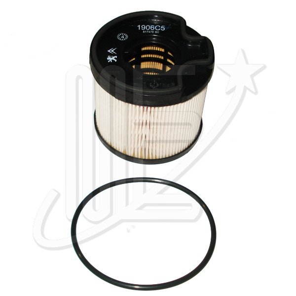 FILTRO COMBUSTIBLE ORIGINAL-DW10TD- XSA PIC-BER