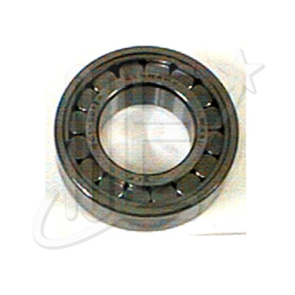 RULEMAN ARBOL SEC. 0013 405
