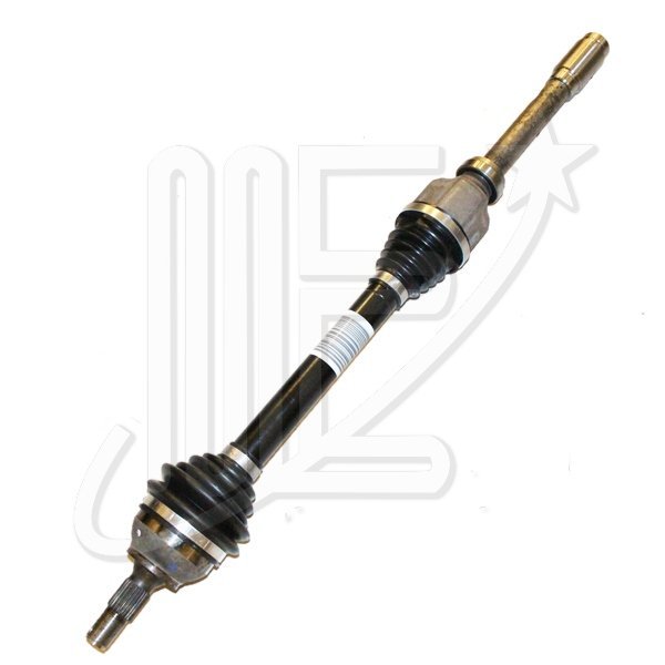 SEMIEJE DERECHO ORIGINAL 307