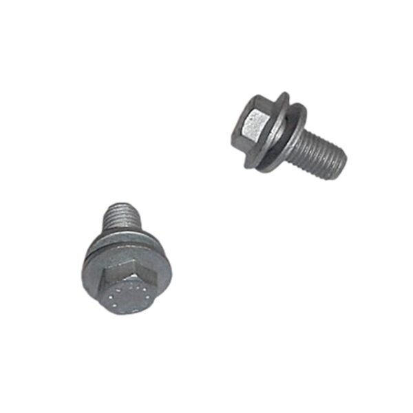 TORNILLO PICO PATO 10MM