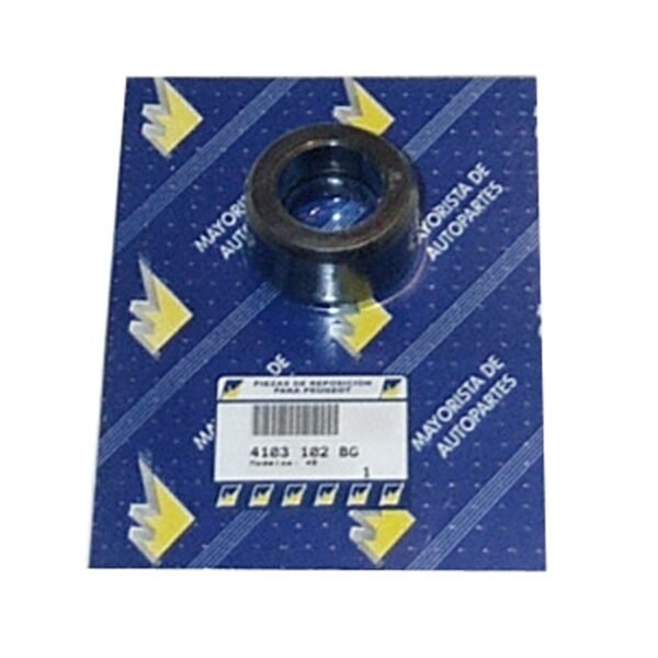 BUJE SUP.COL.DIR.REF.GRILLON 36X22X19
