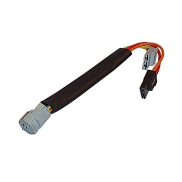 4162-A00-C.jpg CHICOTE ANTIRROBO M/N D2002