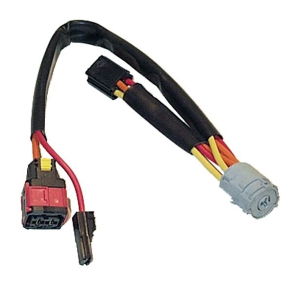 4162-P00-C.jpg CHICOTE ANTIRROBO H 2001