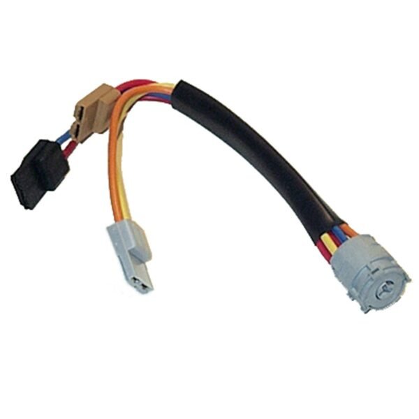 4162-W40-C.jpg CHICOTE ANTIRROBO