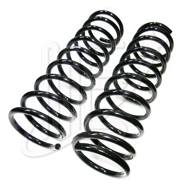 JUEGO RESORTE SUSP TRAS 1336G CAR GNC  504GRII/505
