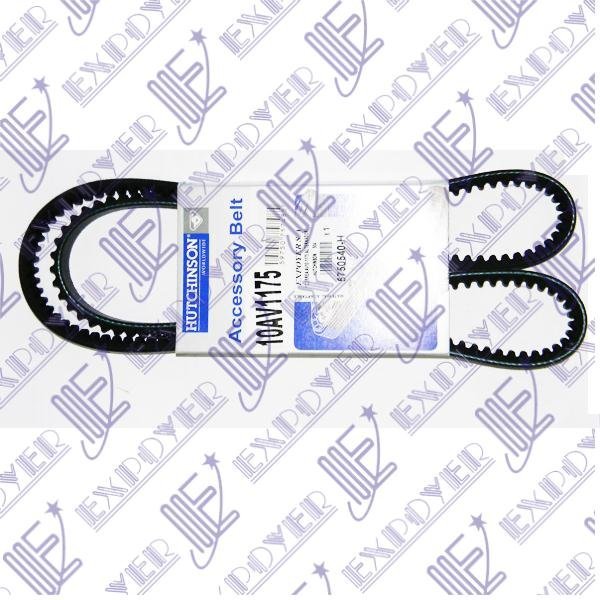 CORREA AV10-1175 ALTERNADOR HUTCHINSON       504