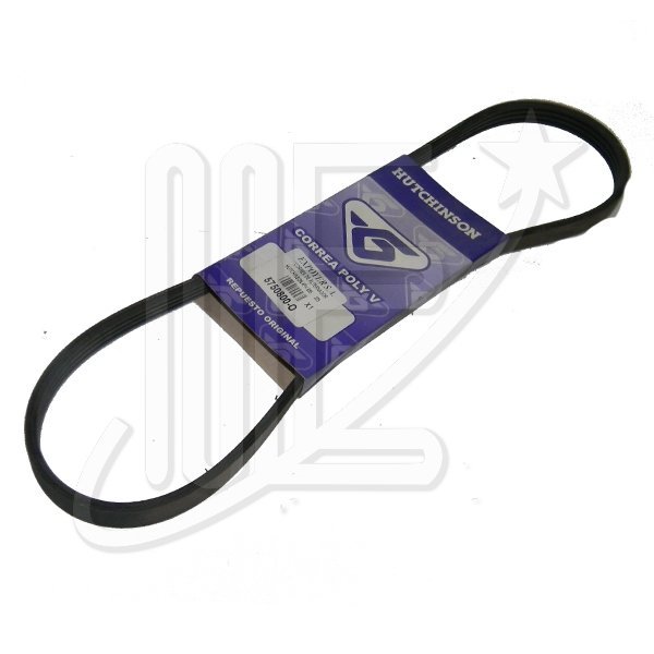 CORREA 4PK-855  DE ALTERNADOR HUTCHINSON   205