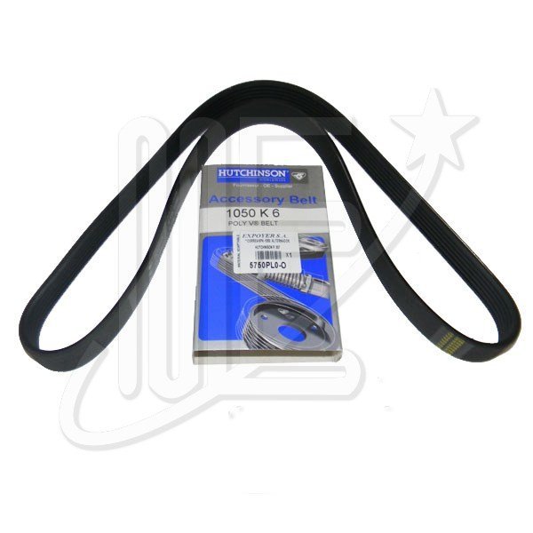 CORREA 6PK-1050 -DAYCO PEUGEOT 307