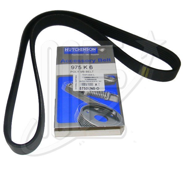 CORREA 6PK-975 CONTINENTAL ALTERNADOR DV4  C3/C4