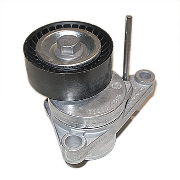 5751-C80-OP.jpg TENSOR CORREA ALTERNADOR = 161142458