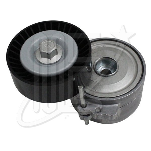 TENSOR POLY V ALTERN. IMP. DW10- 206/406/PART