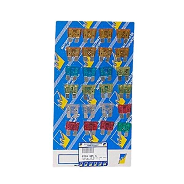 6504-405-N.jpg DISPLAY DE 24 FUSIBLES.