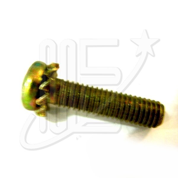 6910310N.jpg TORNILLO C/CILIN. 6 x 25