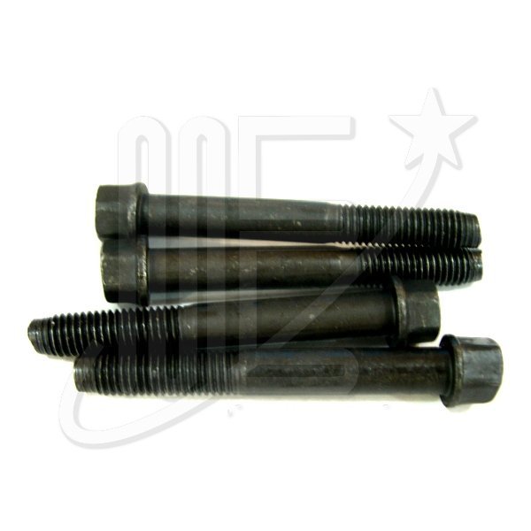 BULON BOCHA CARDAN M/N 5-55