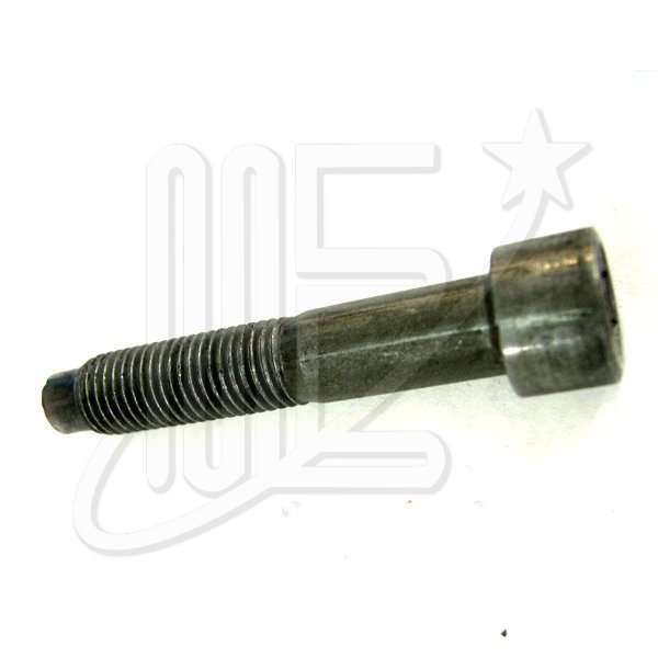 6913610N.jpg TORNILLO ALLEN. 12 x 64